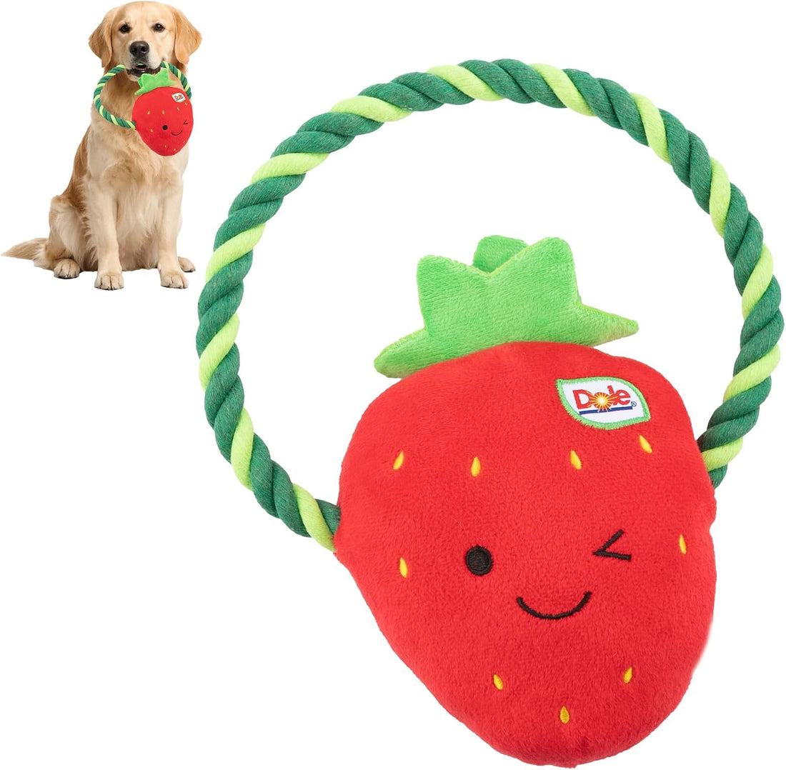 Dog Rope Toy with Squeakers, Broccoli Tug of War Dog Toy