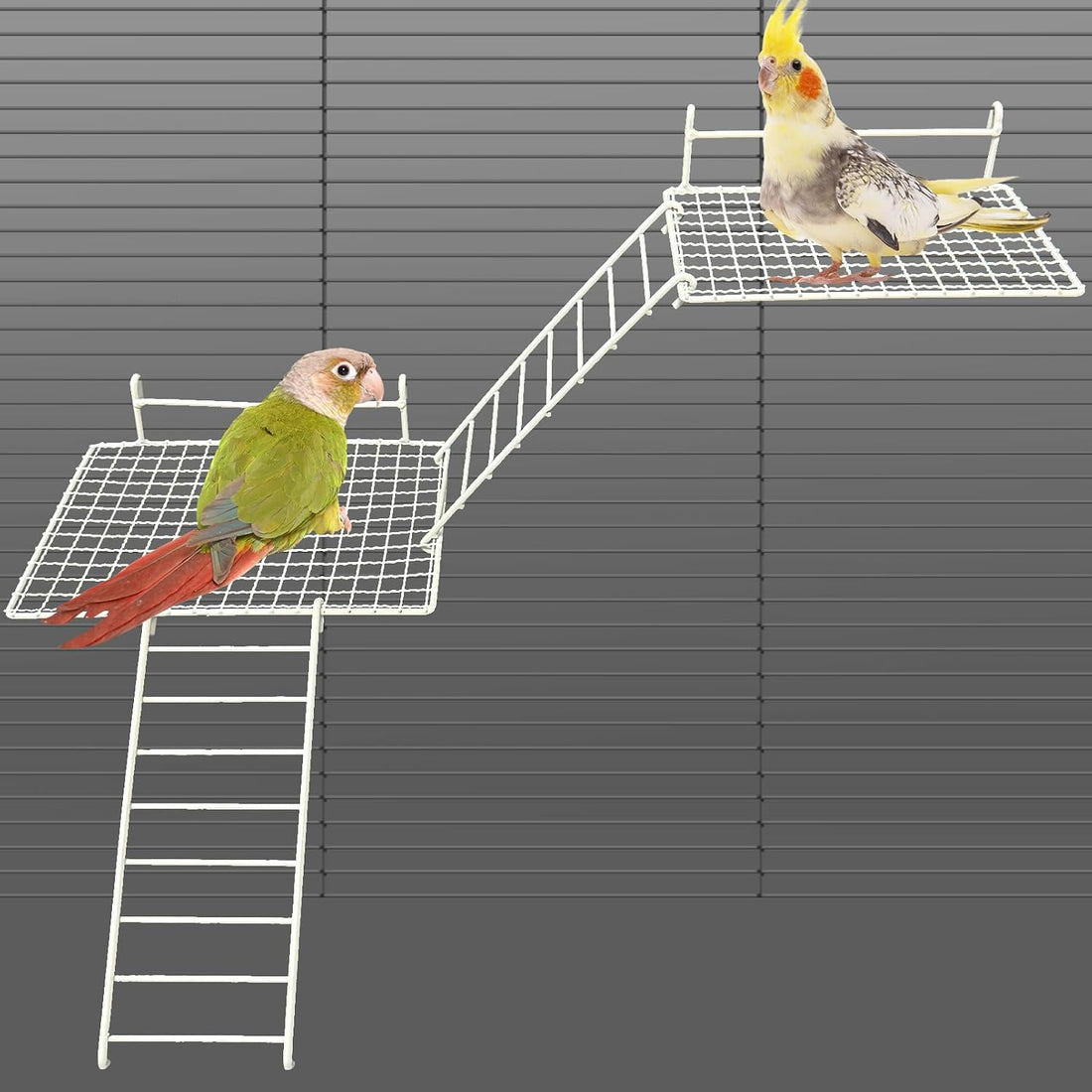 BNOSDM Stainless Steel Bird Cage Platform Climbing Ladder Parrot