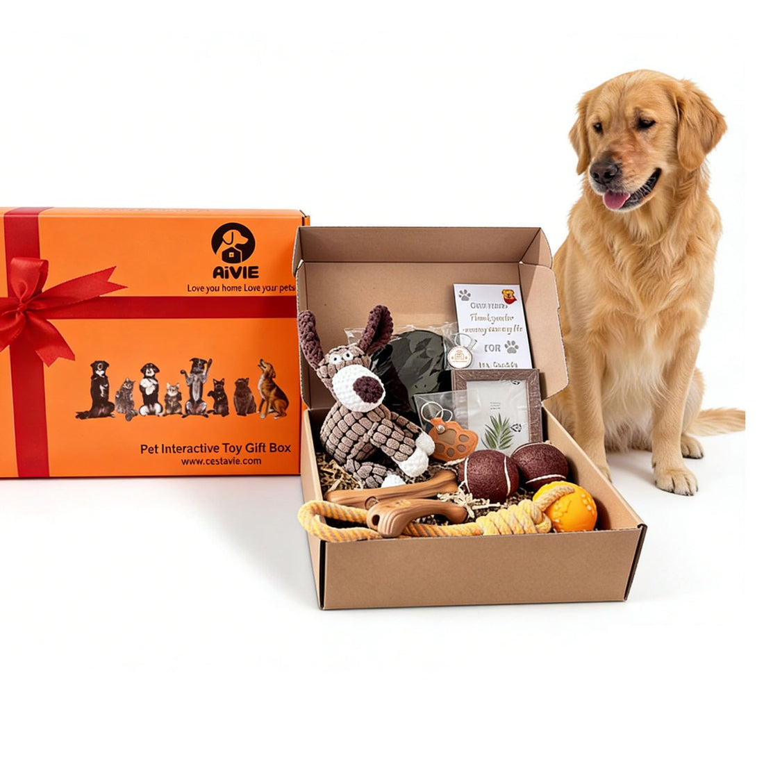 AiVIE Pet Gift Basket, 10 Piece Dog Gift Box