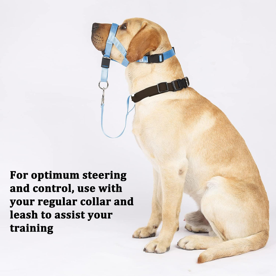 BARKLESS No-Pull Head Collar for Dogs Training & Walking Made Easy