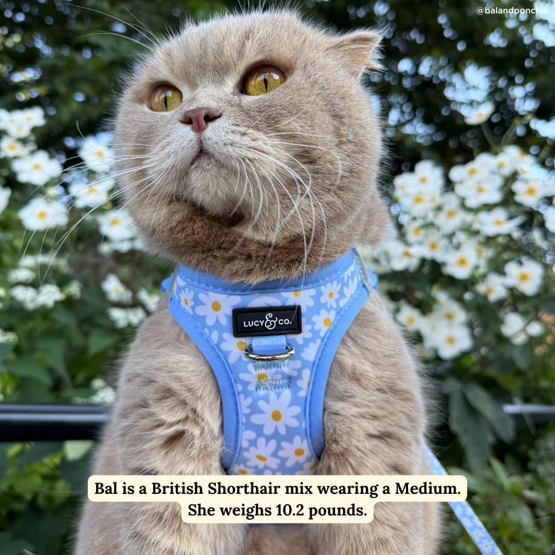 Lucy & Co. Simply Splendid Step-in Cat Harness & Leash Bundle