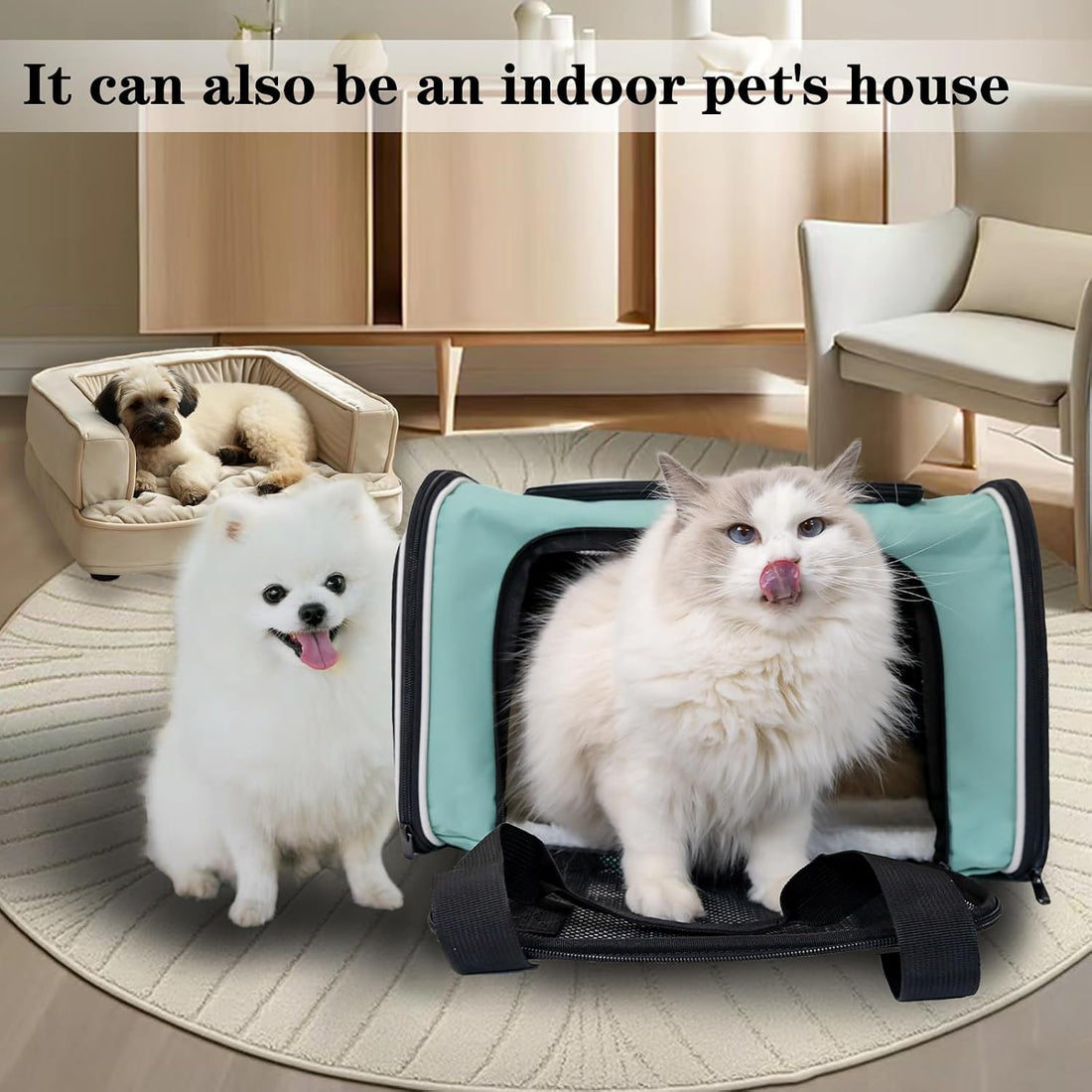 Cat, Dog Carrier for Small Medium Pet Carriers Up to15Lbs