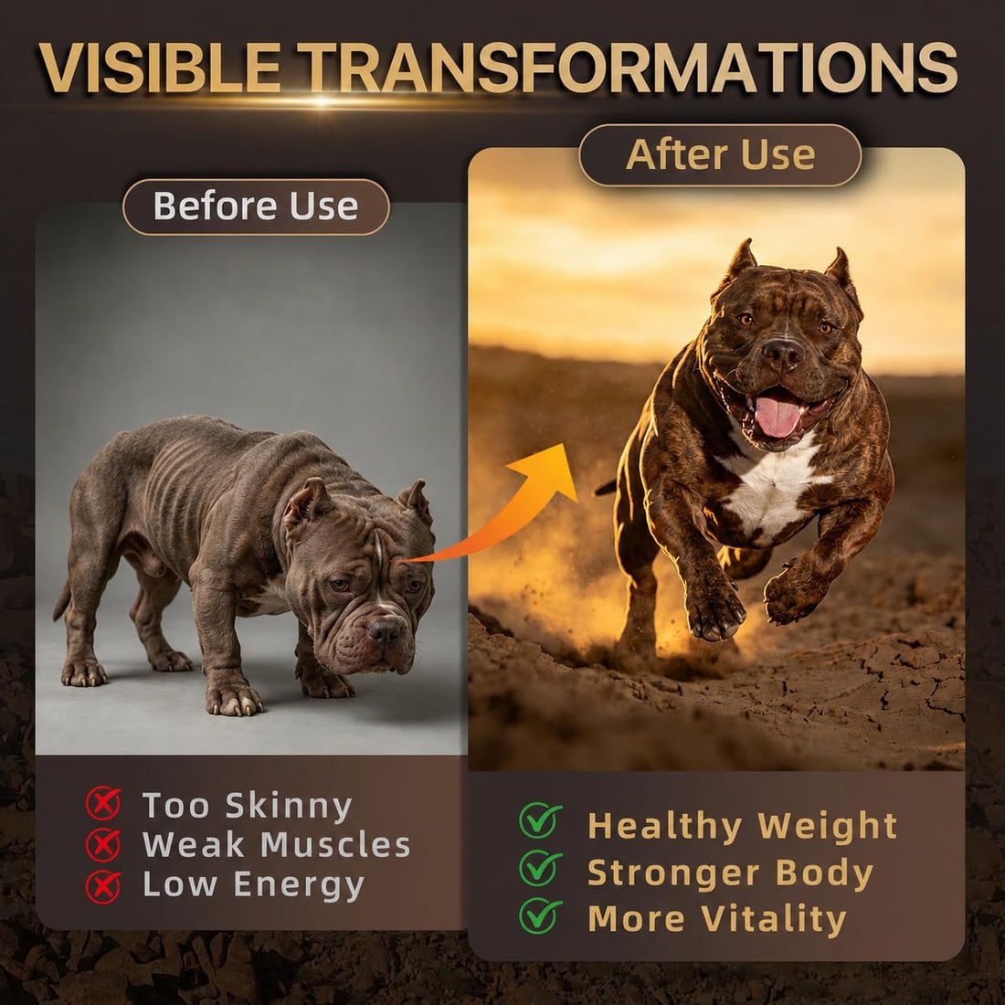Dog Weight Gainer & Muscle Builder