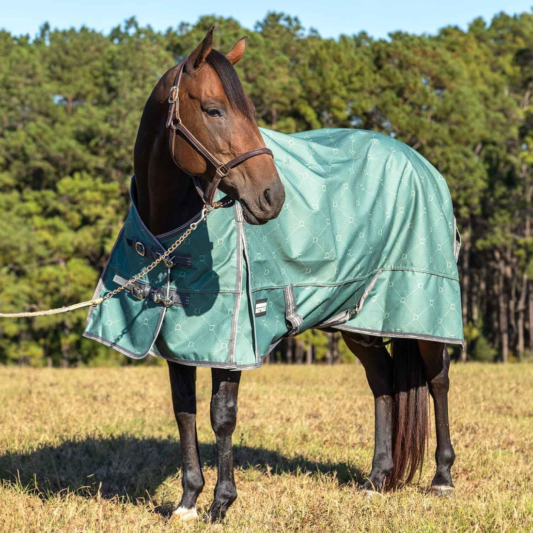 Jeffers 1200D Standard Neck Turnout Blanket, 240G, 78"