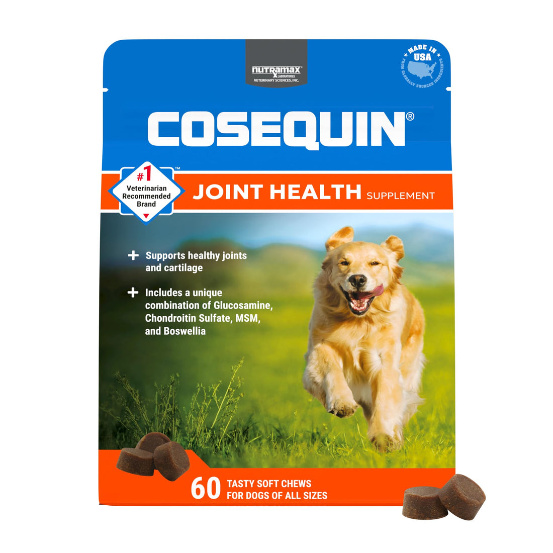 Nutramax Laboratories Cosequin DS Plus MSM Professional Line for Dogs