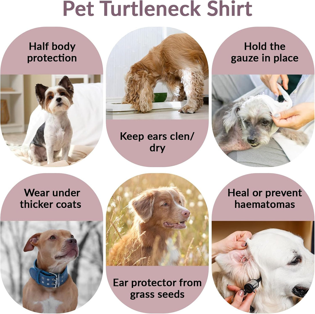 ROZKITCH Cat Neck Protector, Cat Surgery Recovery Suit