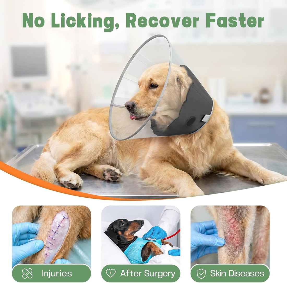 Dog Cone Collar for Recovery