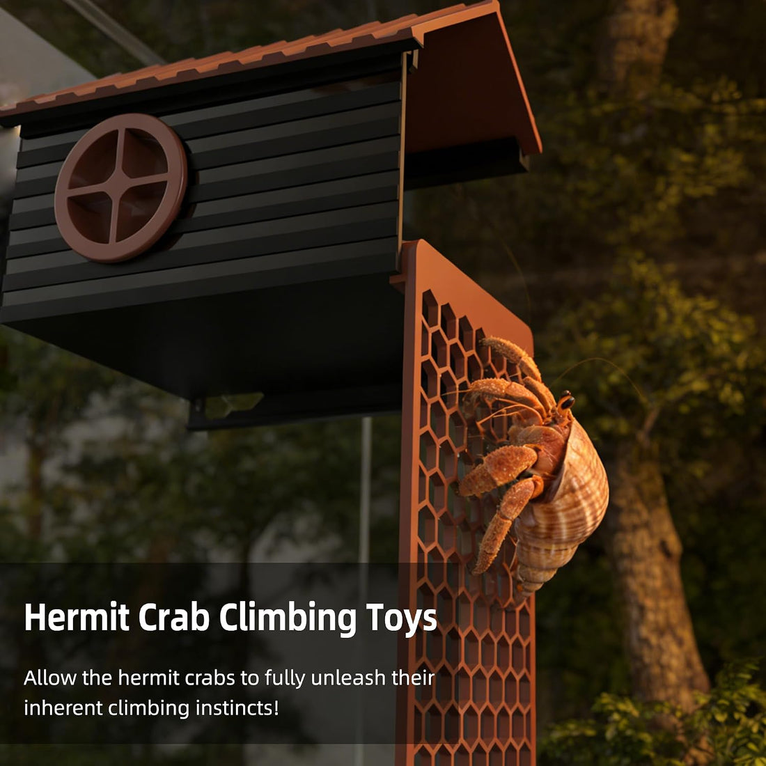 Hermit Crab Accessories | Hermit Crab Climbing Toys with Climbing Wall