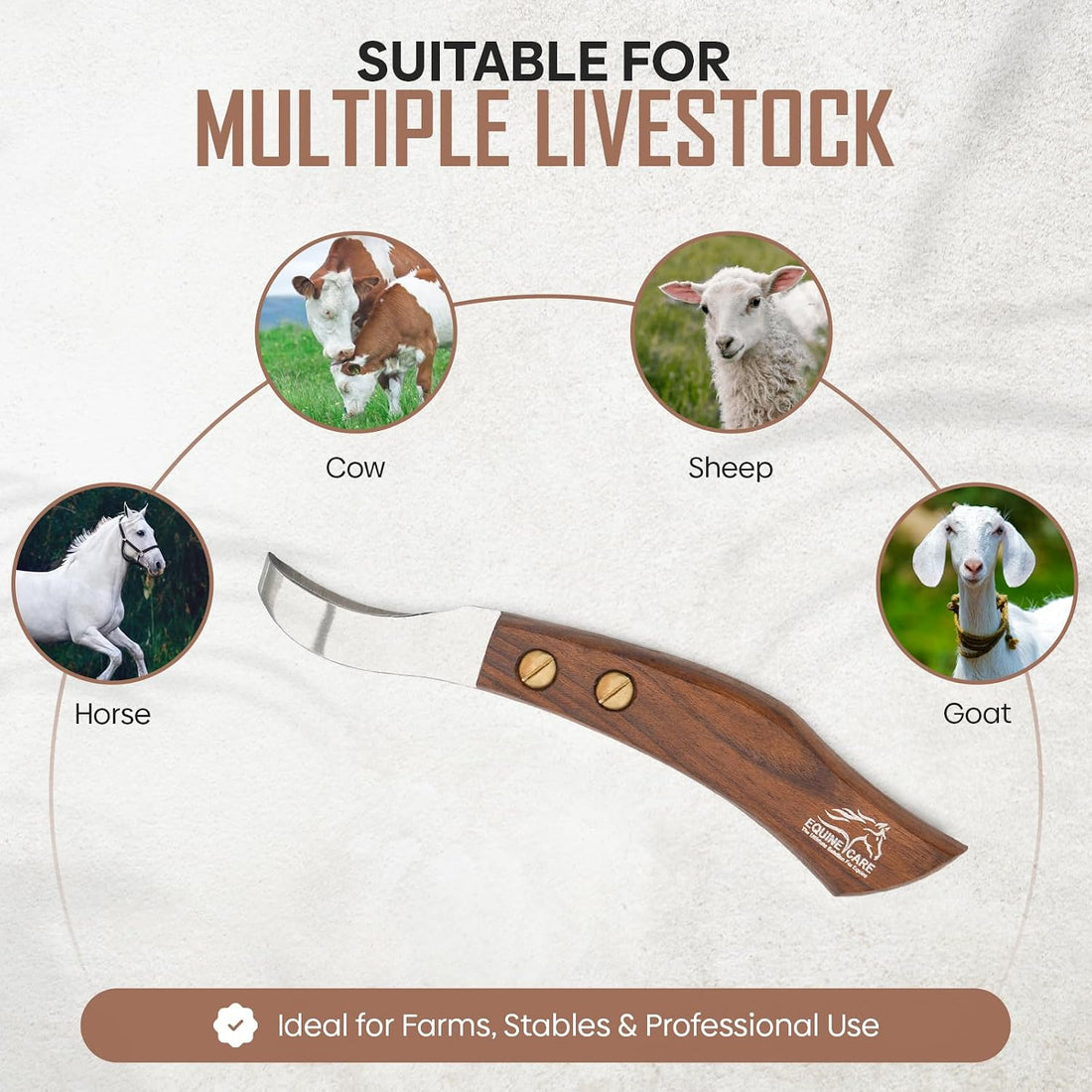 Equine Care Farrier Loop Hoof Knife, J2 Stainless Steel, Wood Handle