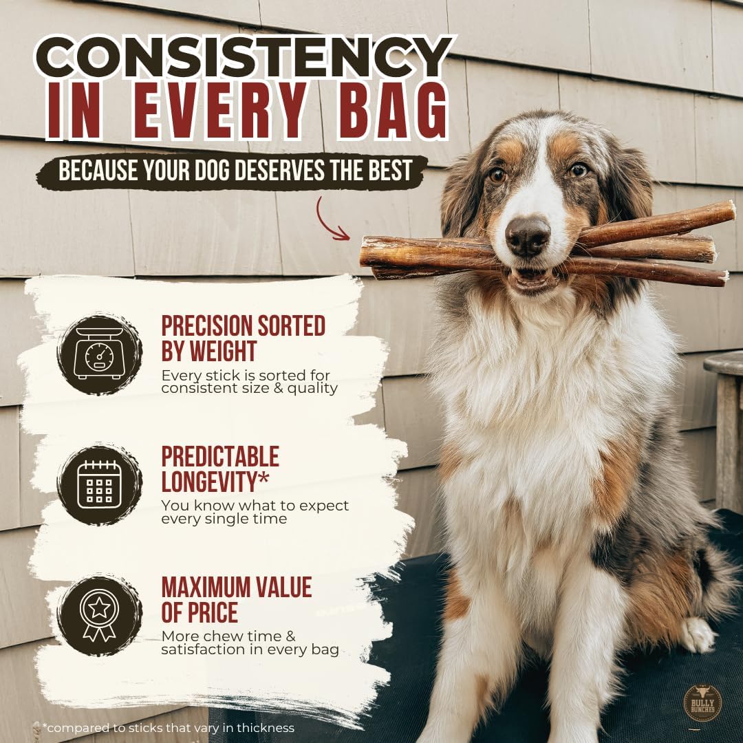Bully Bunches Premium Odor-Free Bully Sticks for Medium & Large Dogs