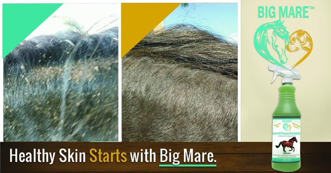 Big Mare Horse Skin & Wound Care Spray, 32 oz
