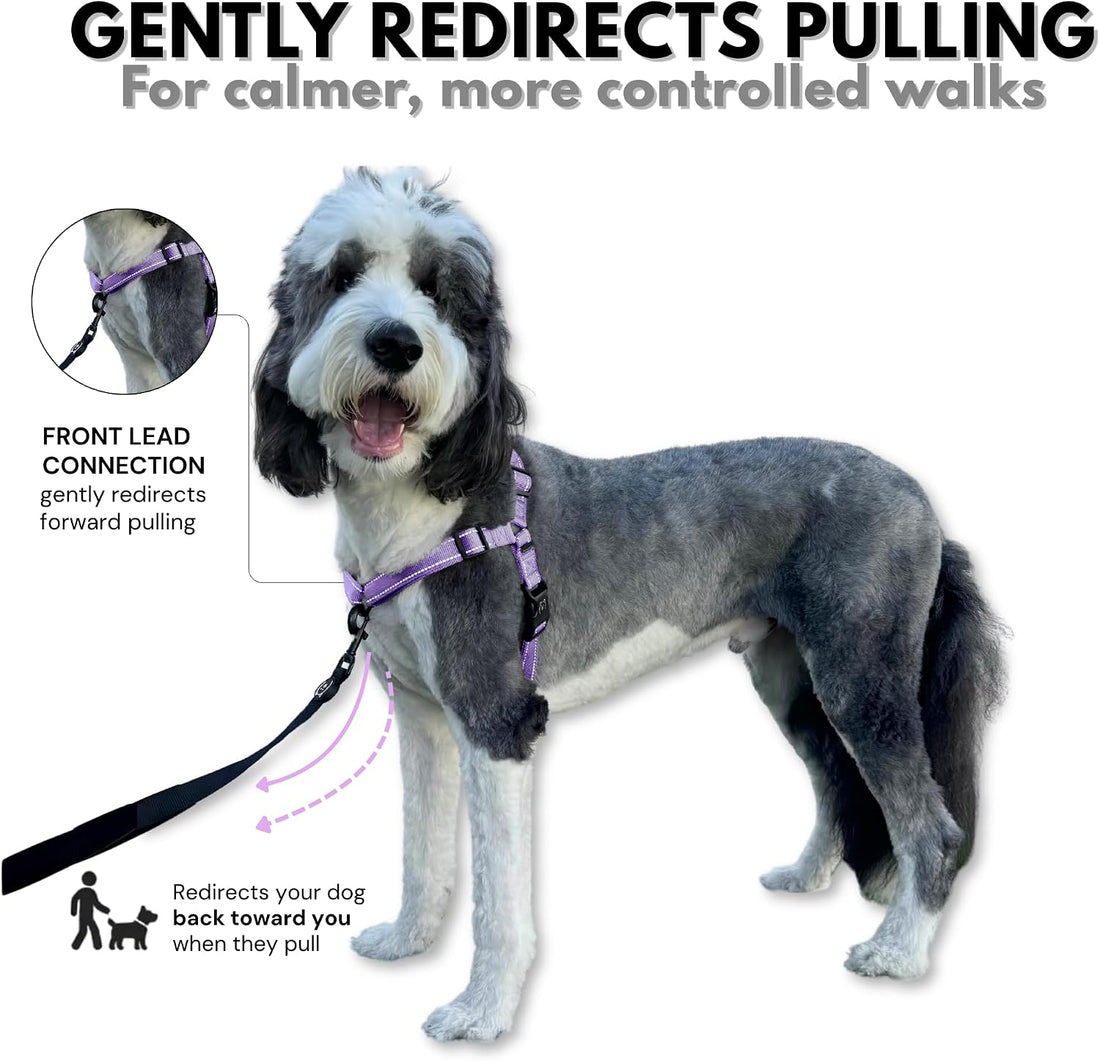 ShawnCo Dream Walk Pro No-Pull Dog Harness
