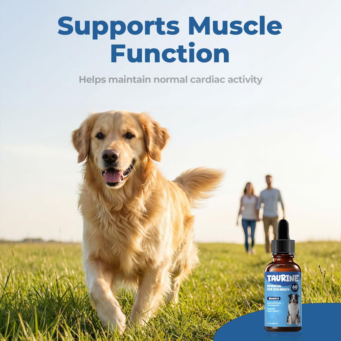 Taurine Supplement for Dogs Drops