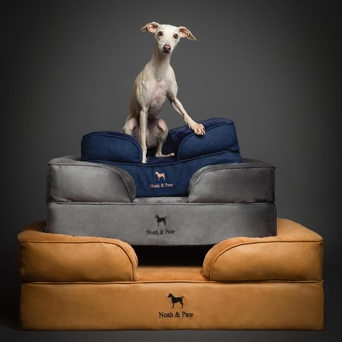 NOAH & PAW XXL Dog Bed, Orthopedic Memory Cooling Foam 55x45x11in