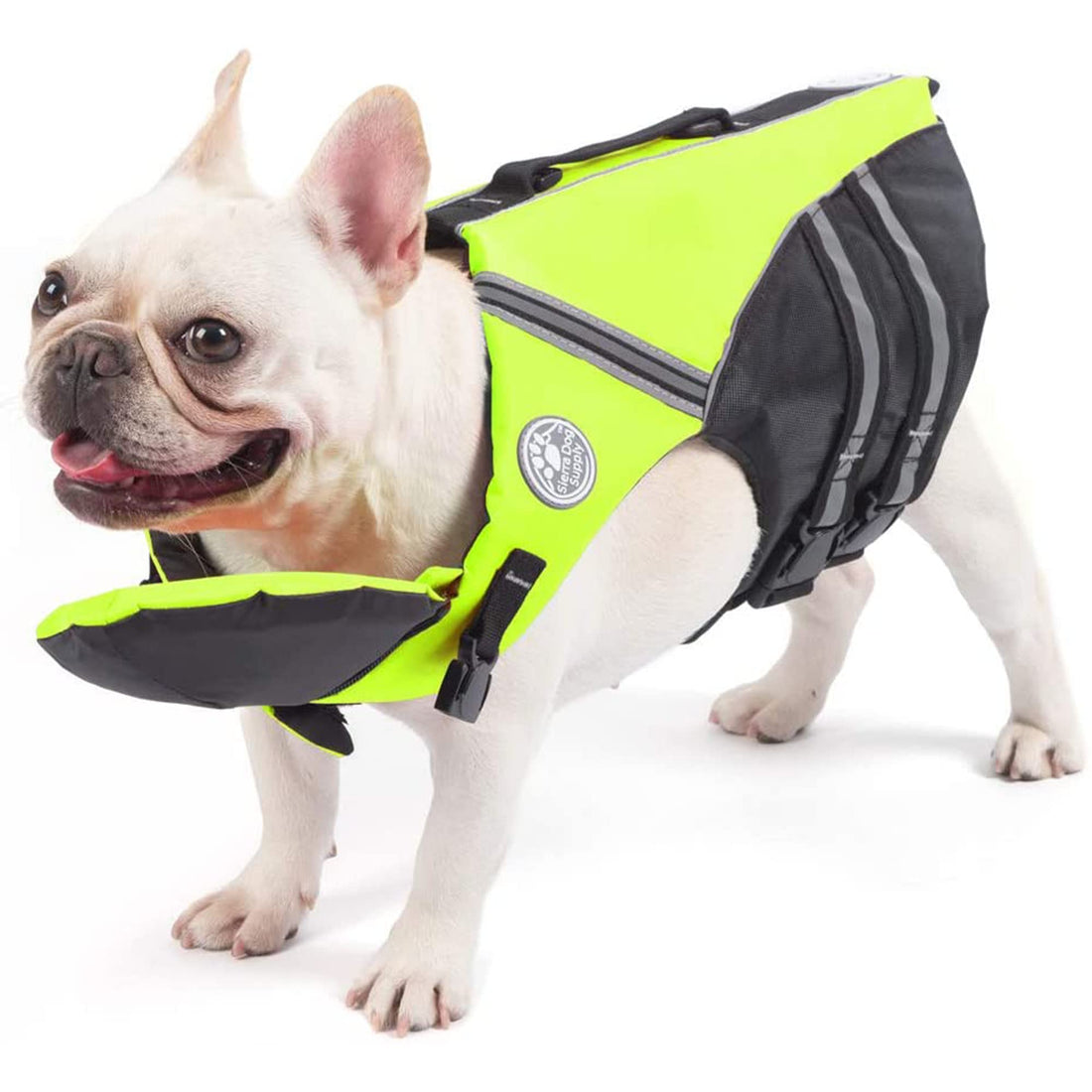 Petglad French Bulldog Life Jacket