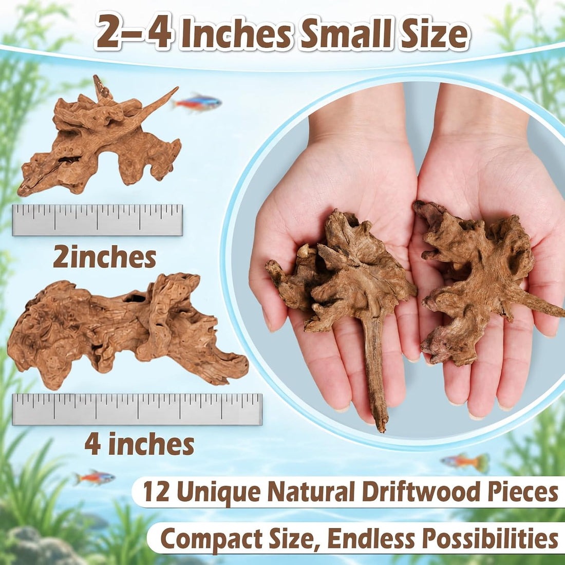 12PCS Natural Small Driftwood 2"–4" Unique Wood for Aquarium