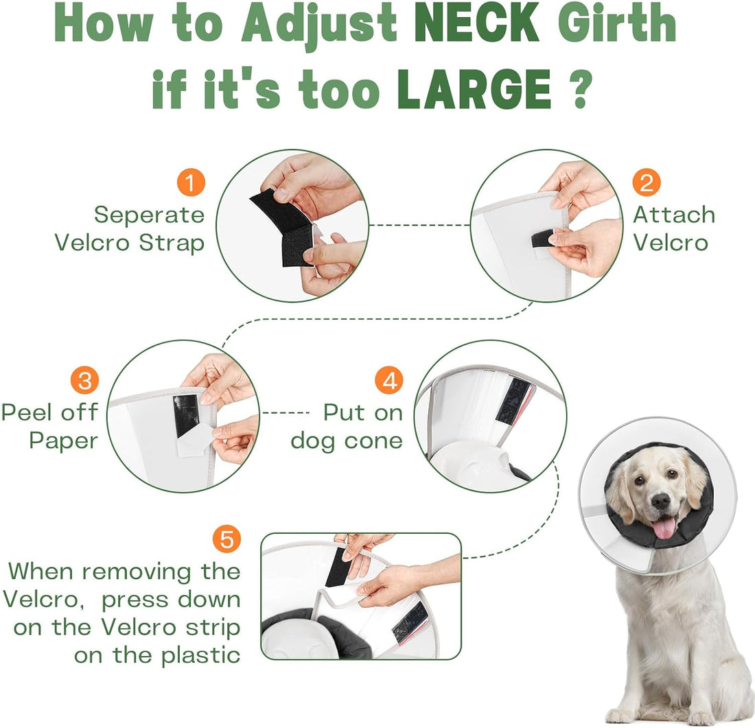 Dog Cone Collar for Recovery