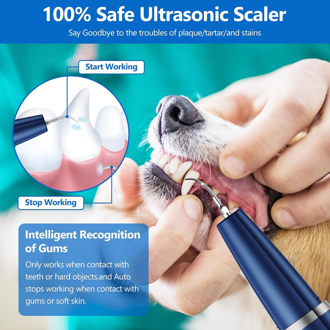 Ni-SHEN Dog Plaque Remover for Teeth,Pet Ultrasonic Tooth