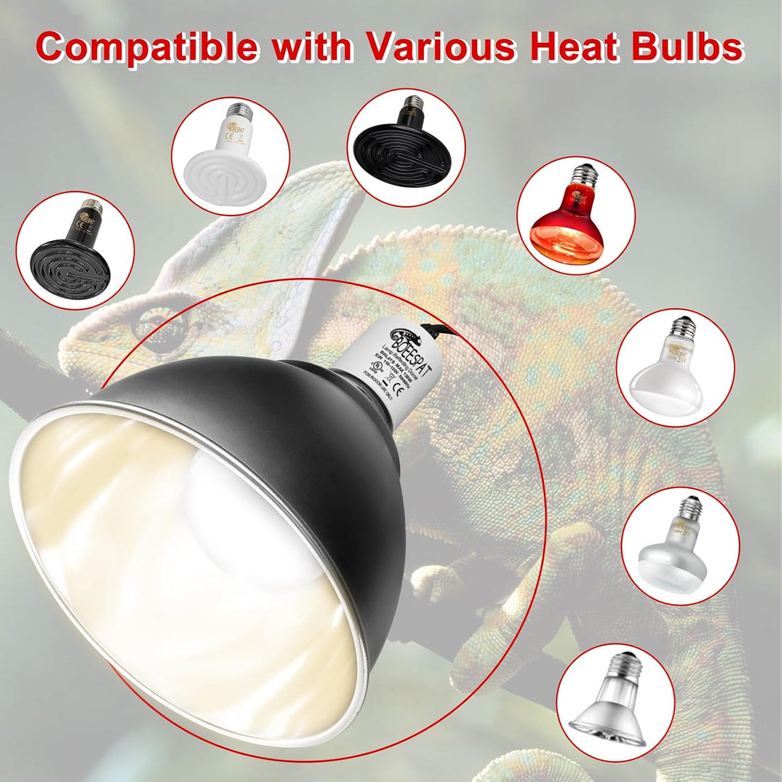 Reptile Lamp Bulb Fixture 5.5 Inch Deep Dome with Switch