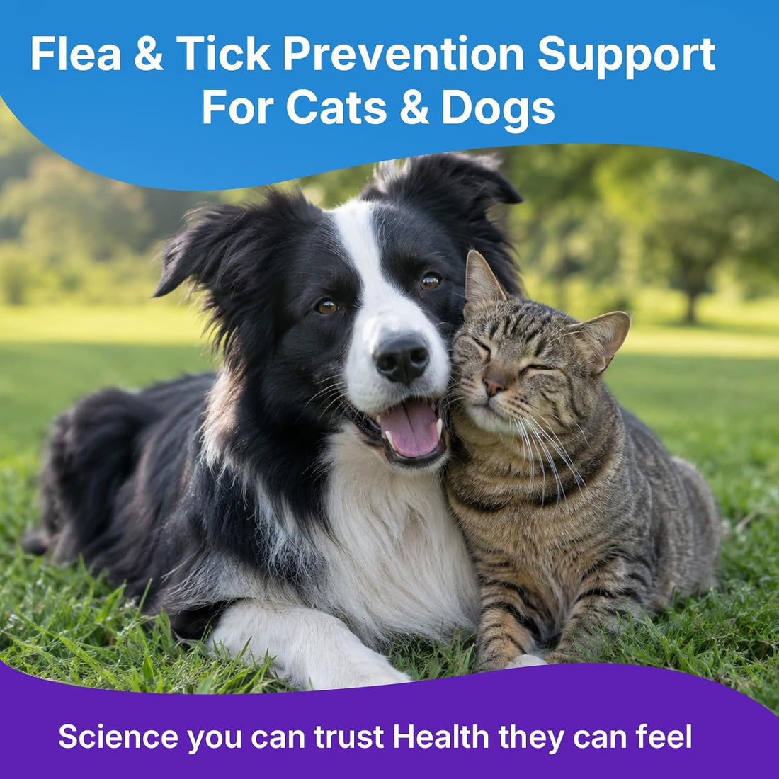 WEALLIN Flea & Tick Support Drops