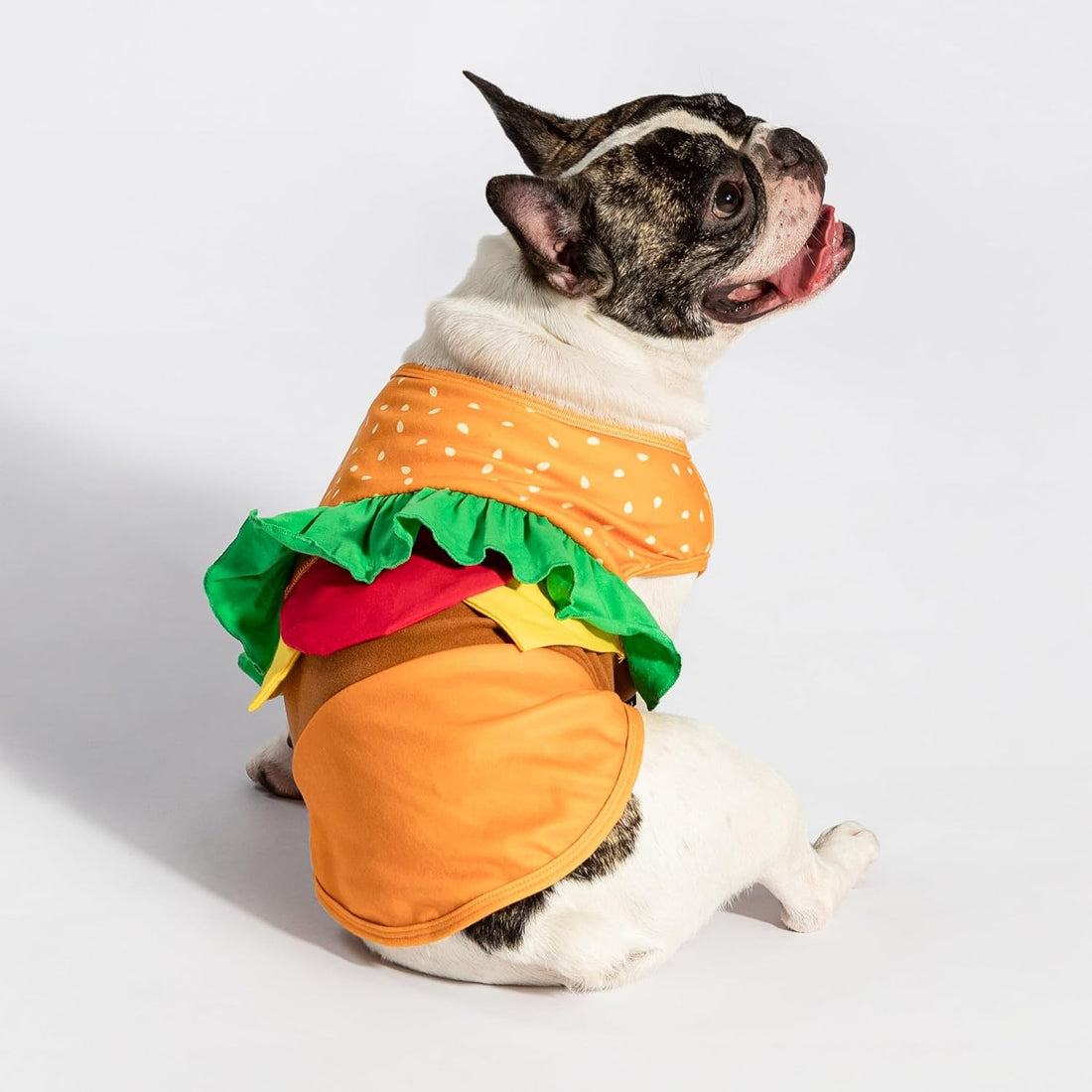 Fitwarm Halloween Dog Hamburger Costume