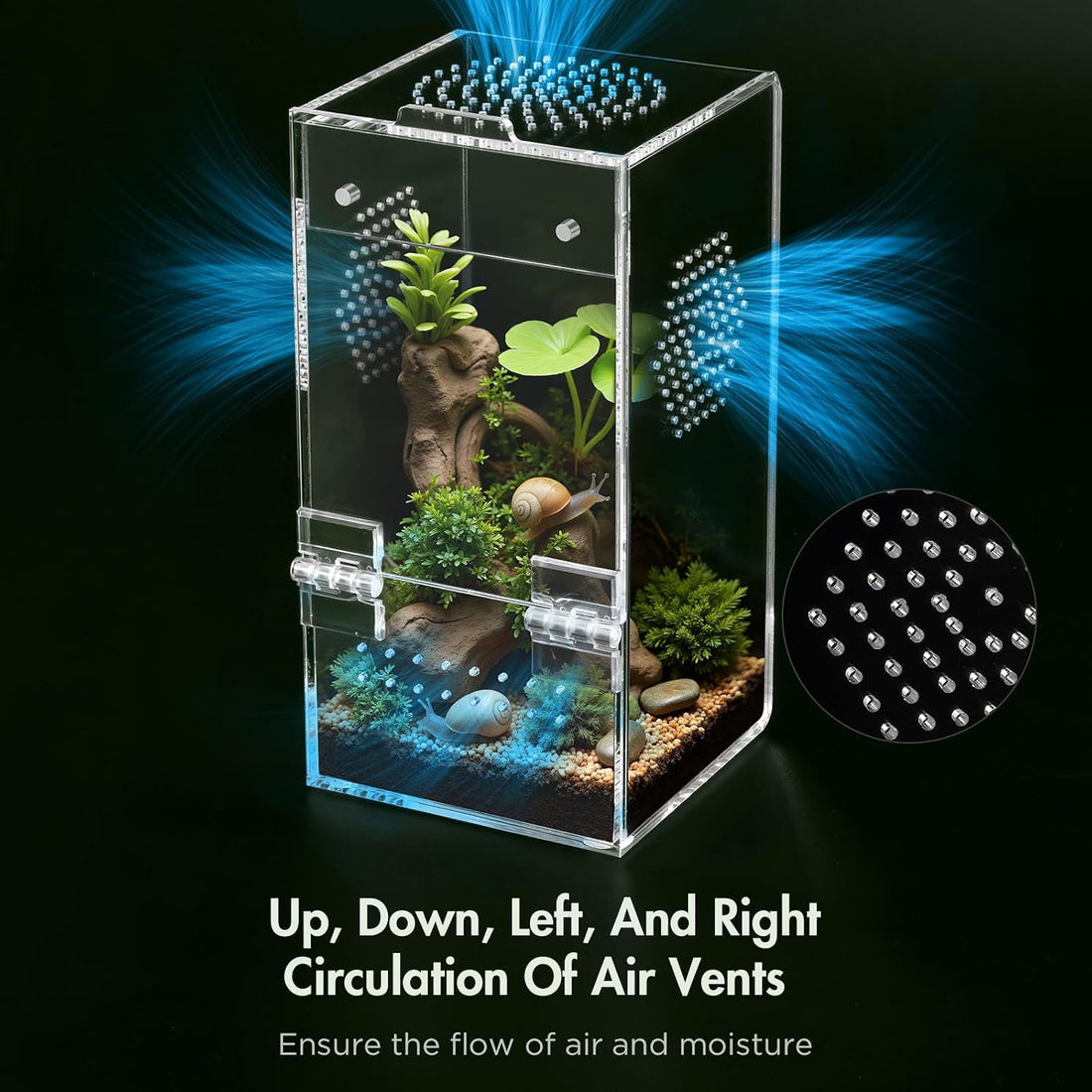 Pre-Assembled Jumping Spider Enclosure, All-Side Ventilation