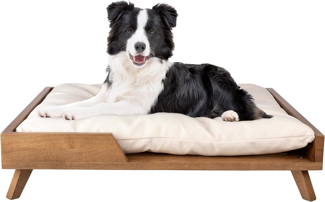 PETMAKER Elevated Dog Bed for Medium to Large Pets, Natural