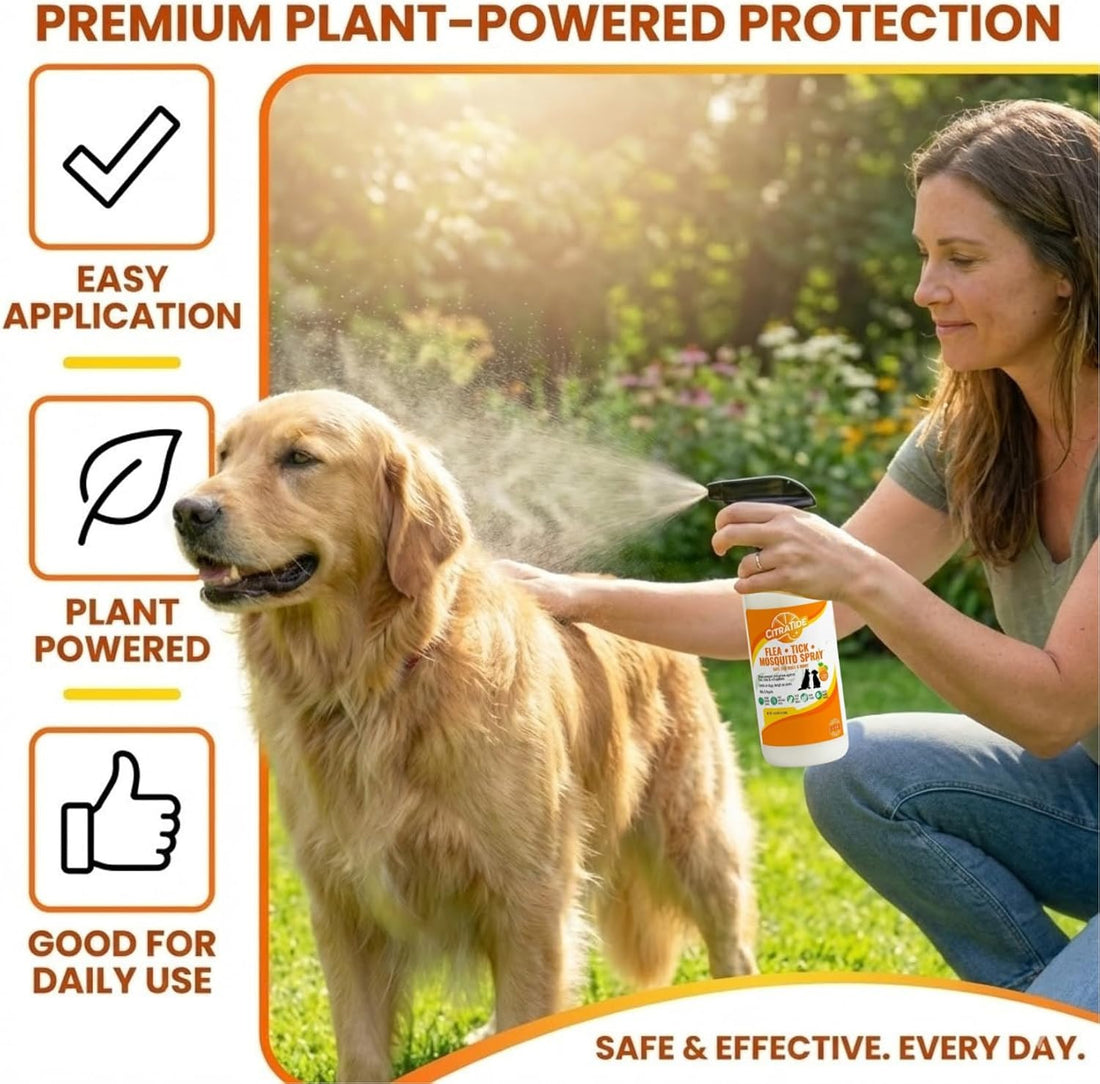 Natural Flea, Tick & Mosquito Spray for Dogs