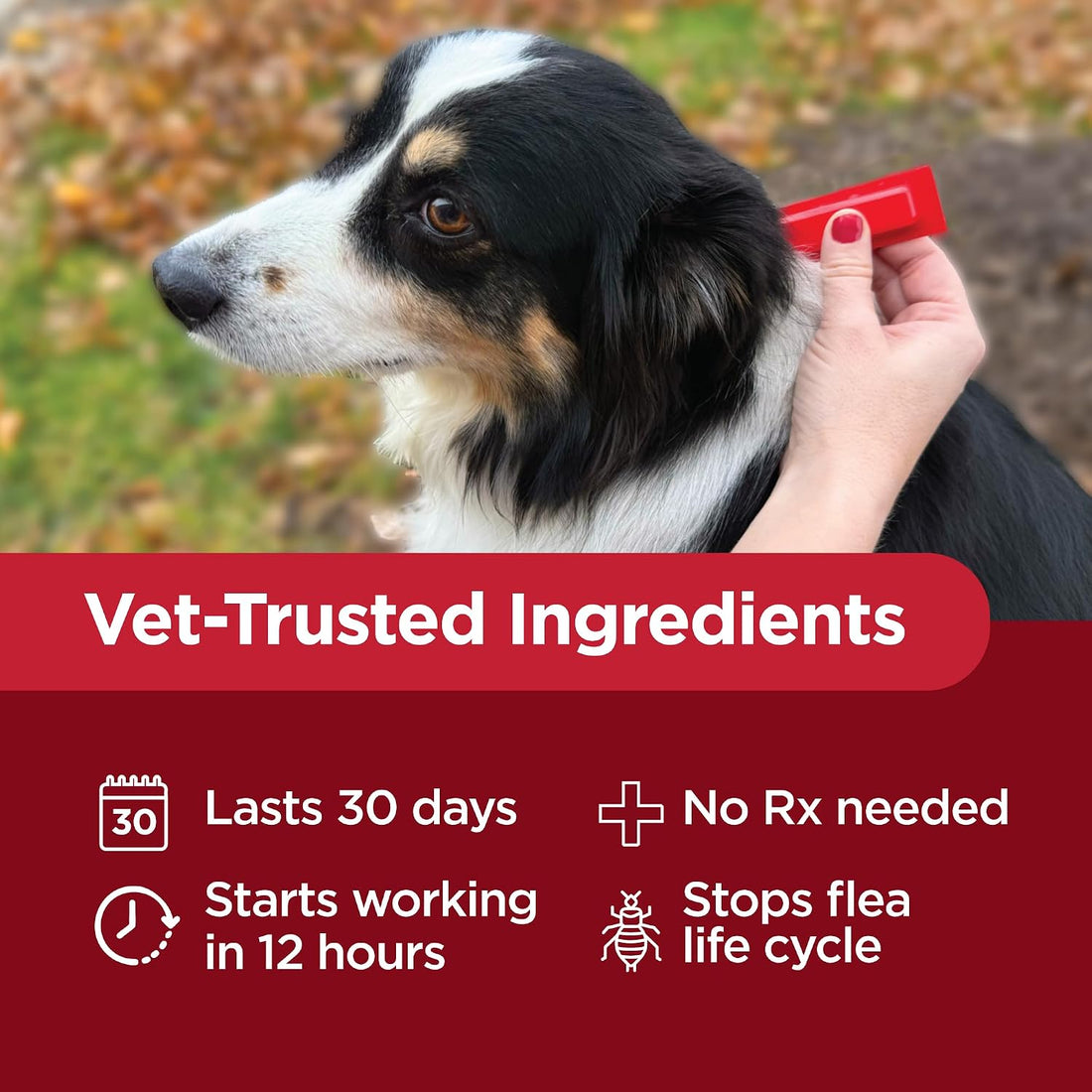 TevraPet Activate II Flea and Tick Prevention for Dogs