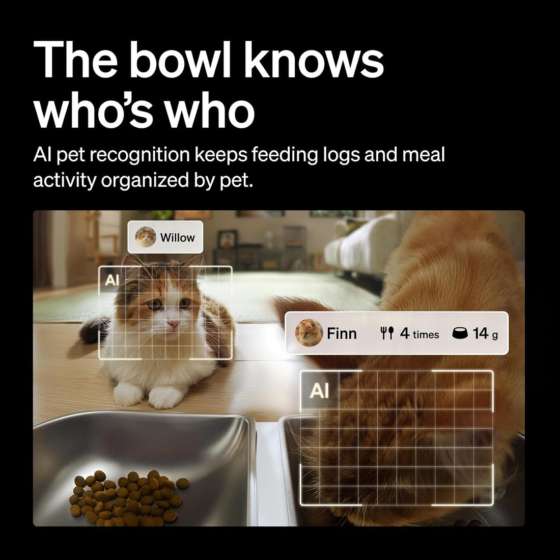 PETLIBRO Automatic Cat Feeder for 2 Cats