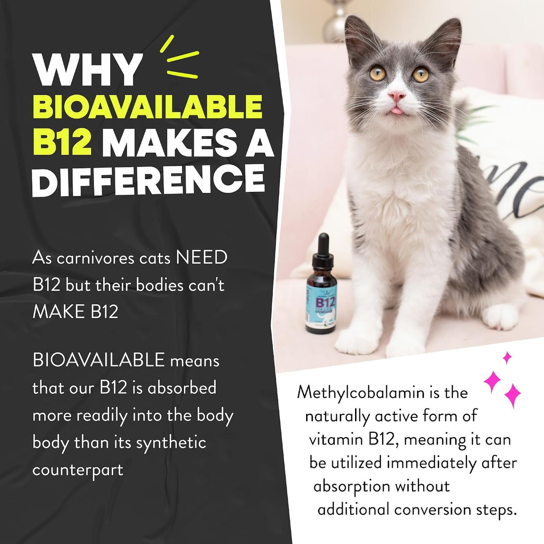 Jackson Galaxy Vitamin B12 for Cats, Liquid Daily Supplement Drops
