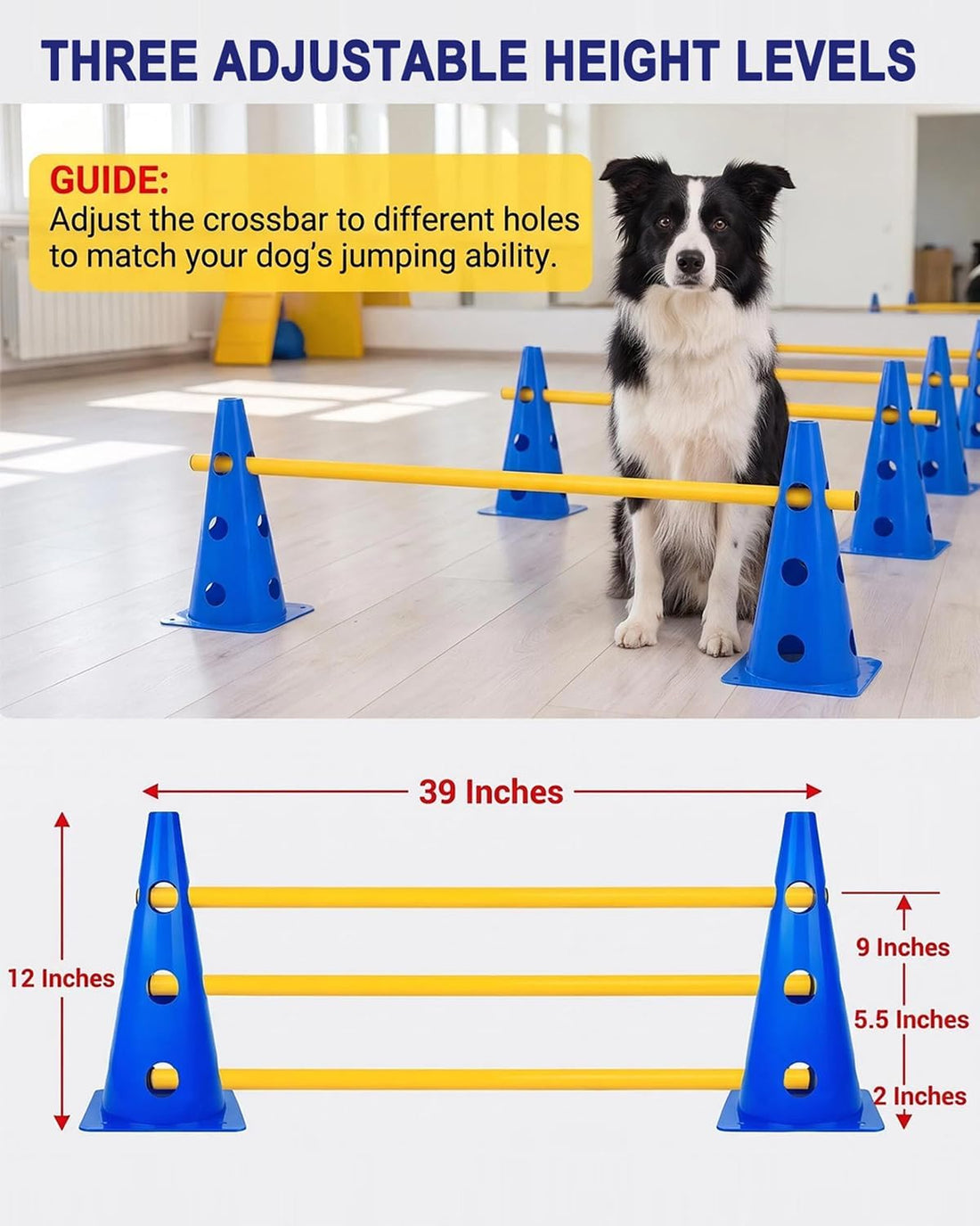Dog Agility Equipment 12Inch Backyard Obstacle Course Agility Cones