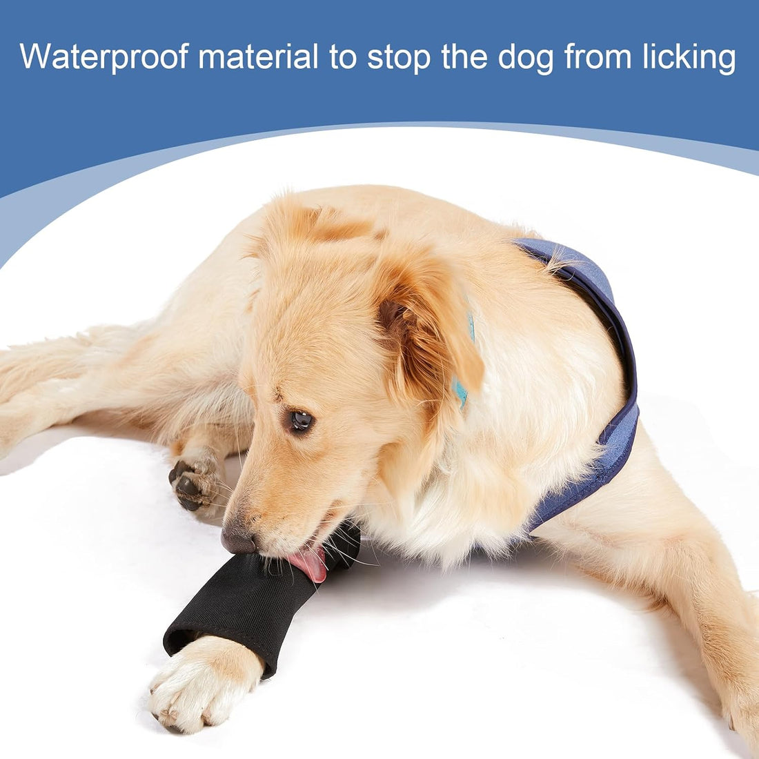 Coodeo Dog Recovery Suit, Cone Collar Alternative