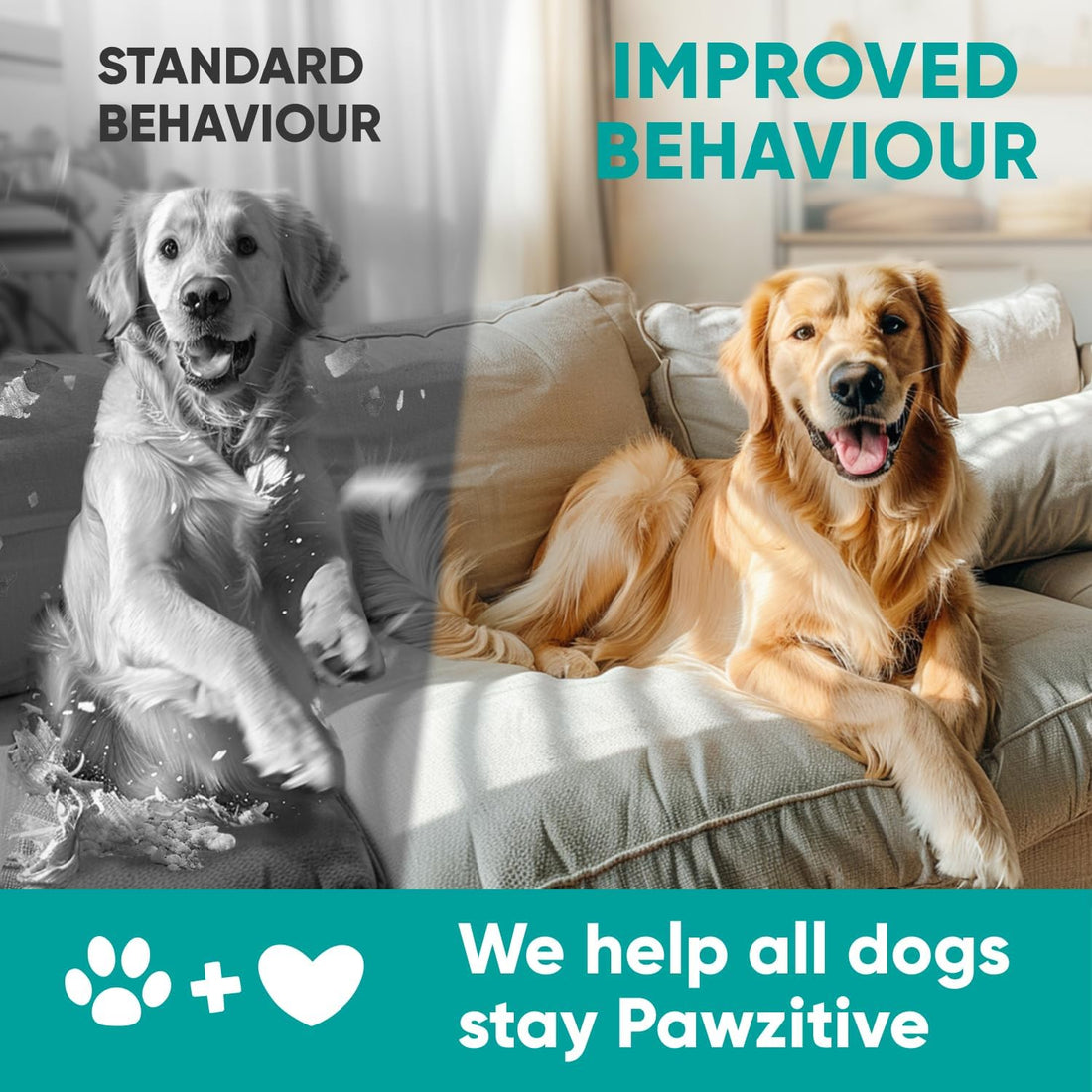 Hemp Calming Chews for Dogs - Dog Calming Chews for Anxiety Relief