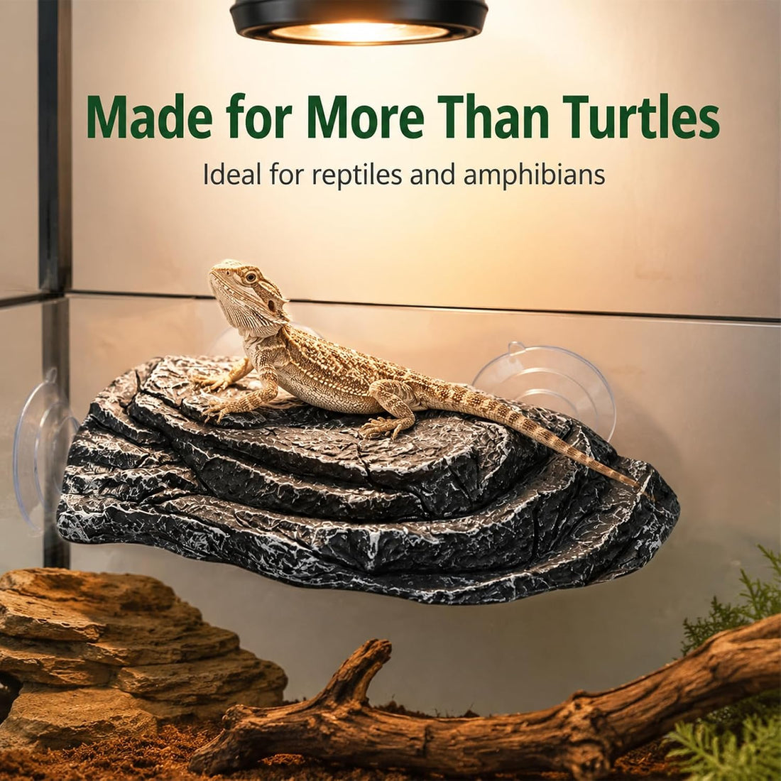 Turtle Basking Platform with Suction Cups