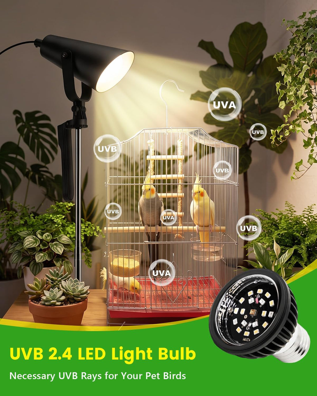 UVB 2.4 Bird Light with Adjustable Tripod Stand