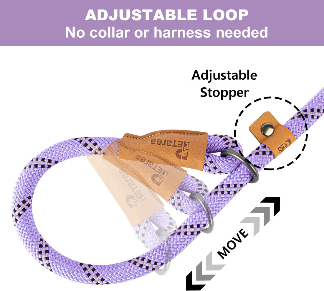 5 FT Slip Lead Dog Leash, Heavy Duty Rope Leash for Small Medium