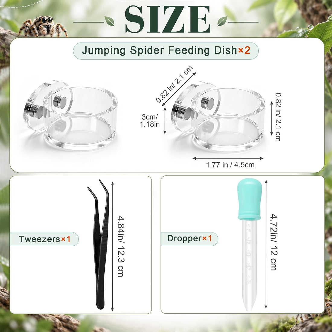 Upgrad Jumping Spider Magnetic Water Feeding Dish for Small Pet