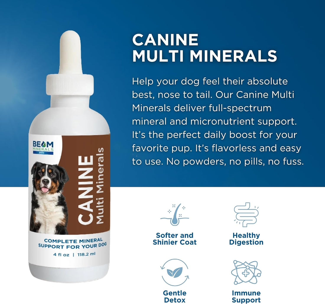 BEAM Minerals Advanced Canine Mineral and Electrolyte Replenishment