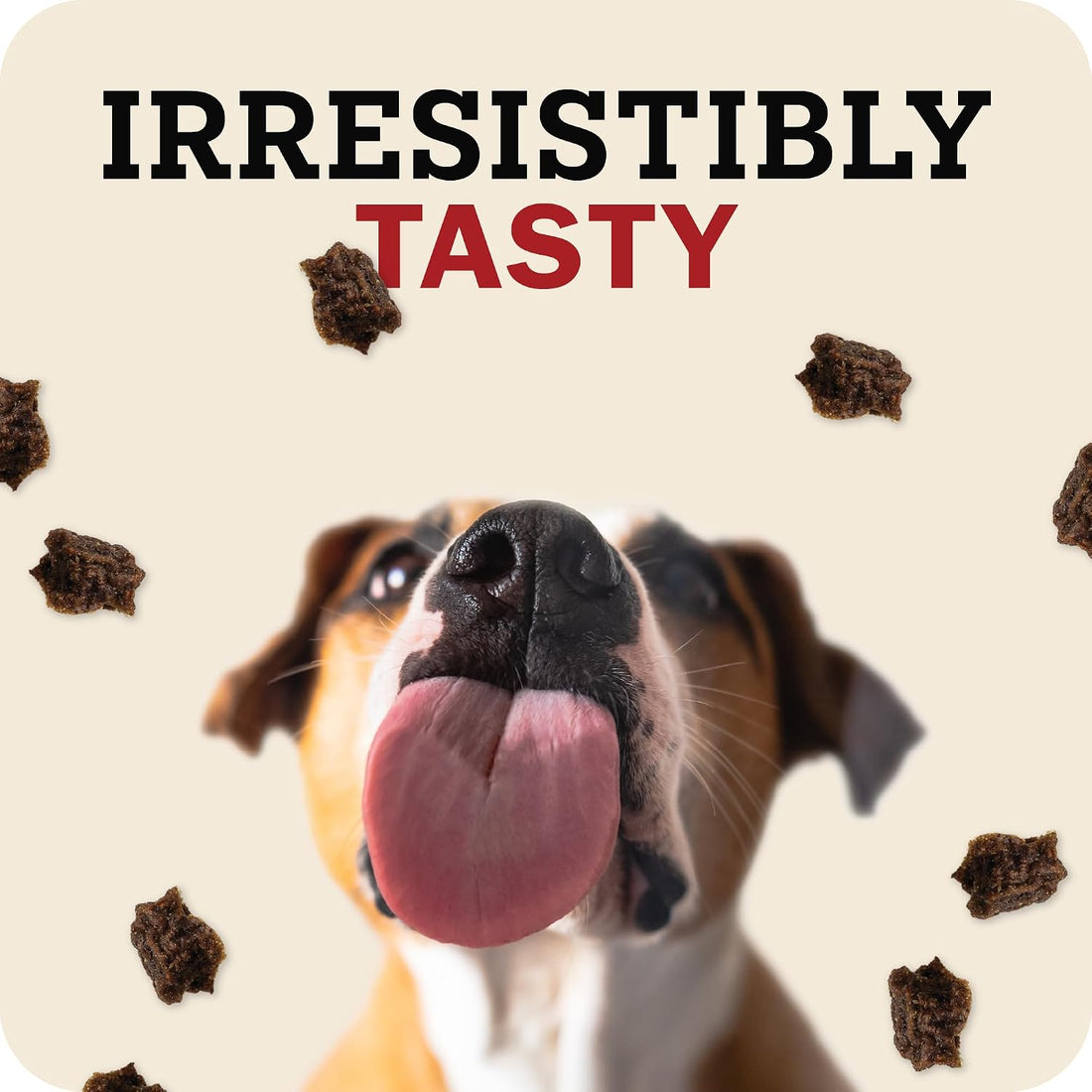Redbarn Puppy Powerfood Air Dried Dog Food or Dry Topper, Beef & Lamb