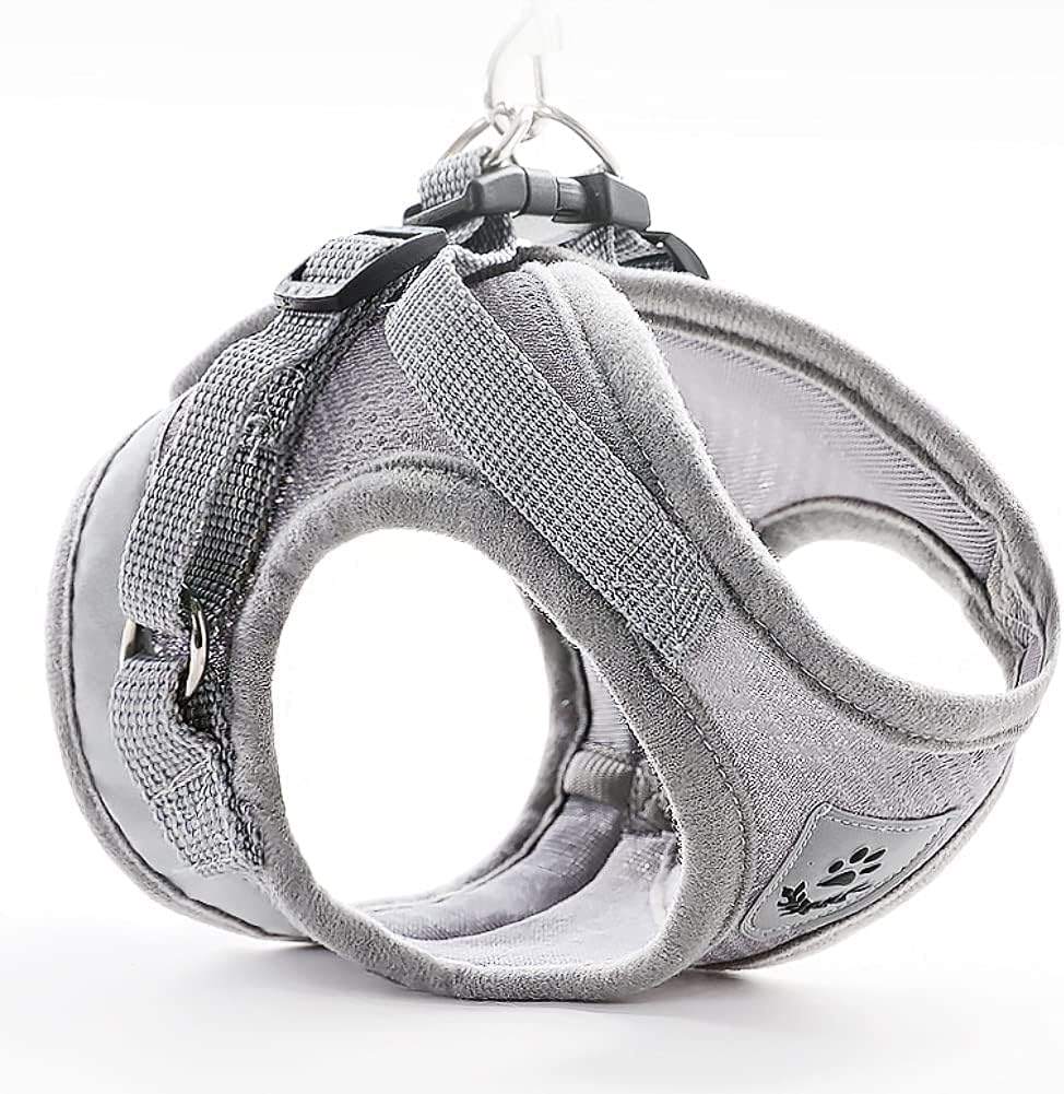 FEimaX Dog Harness and Leash Set for Walking