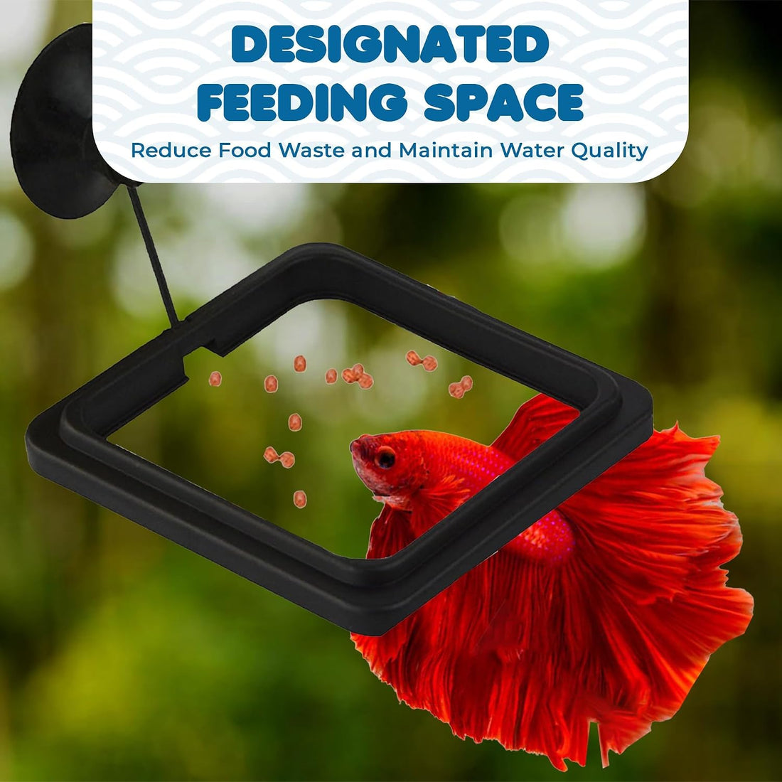 SunGrow Fish Food Feeding Ring