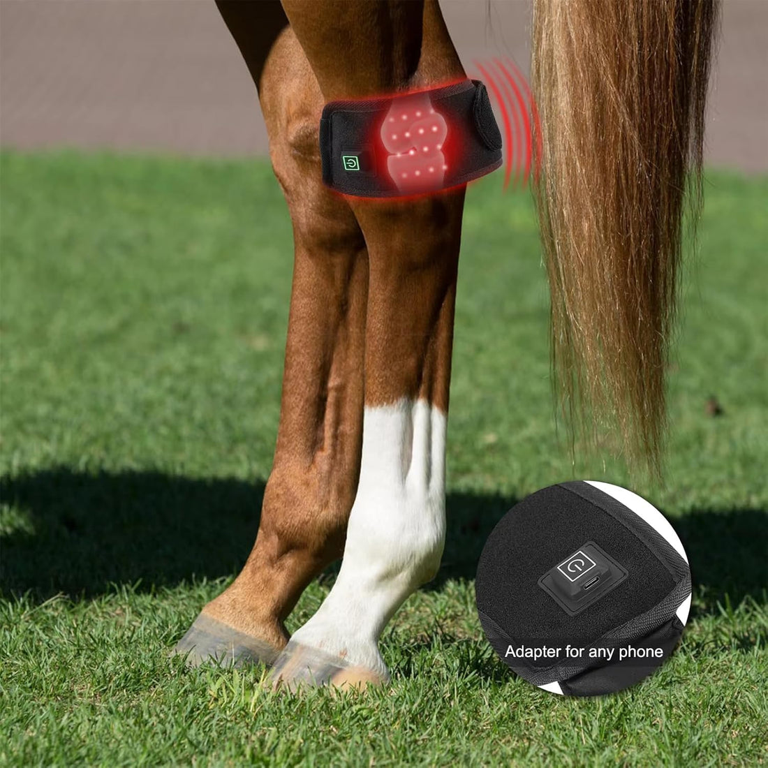 Red Light Therapy for Horses Hoof