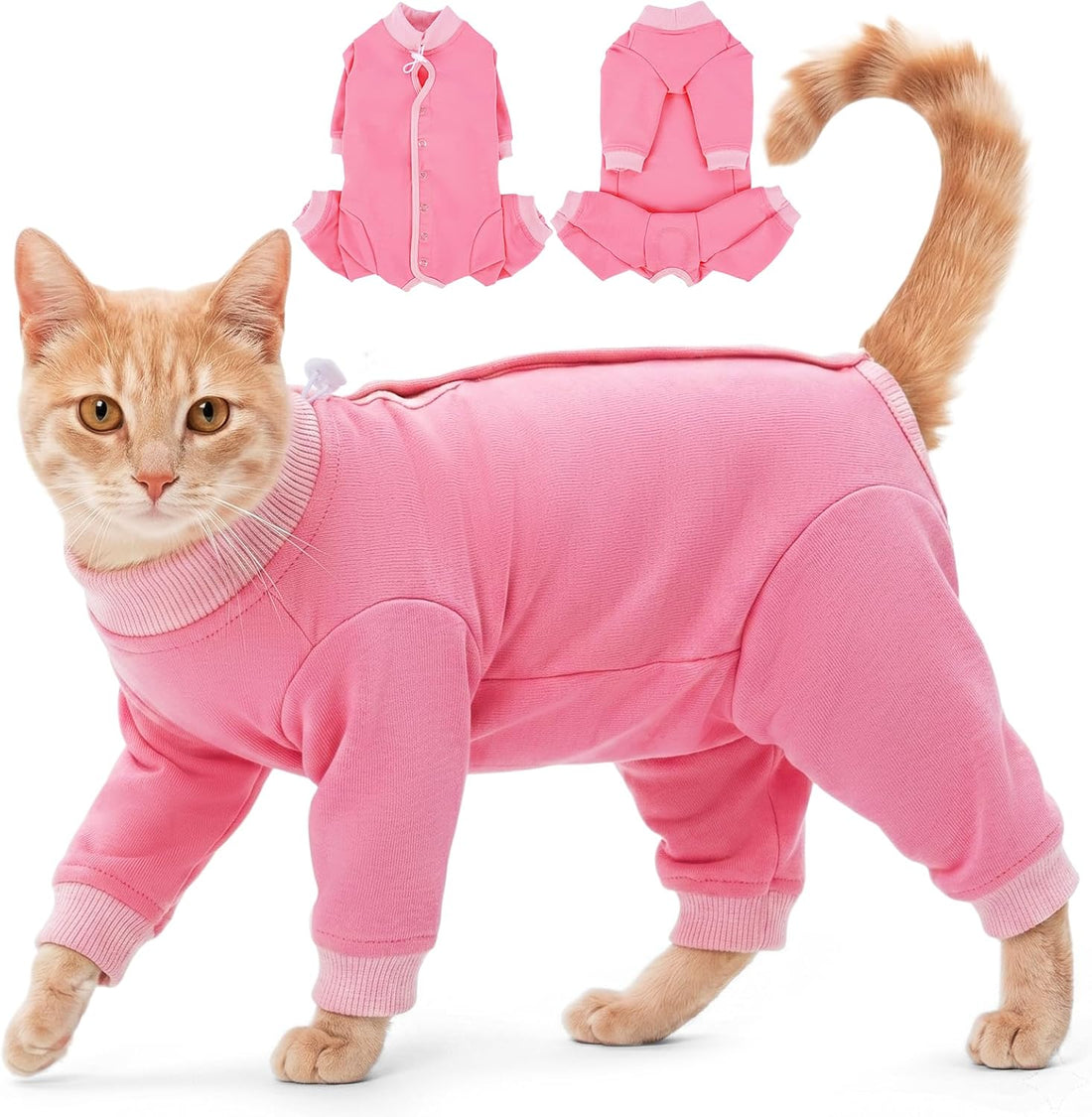 Cat Recovery Suit for Spay & Neuter,Hind Leg Healing Protector