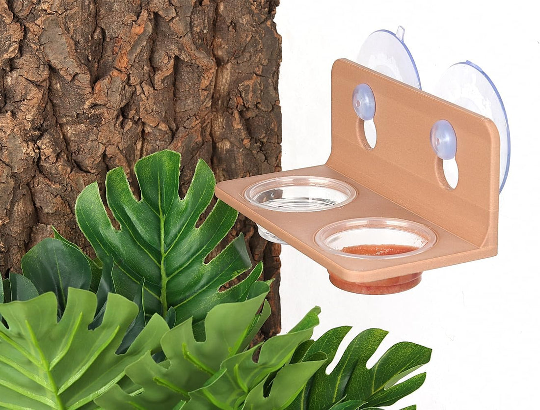 100PCS 0.5oz Crested Gecko Food Dish Cups