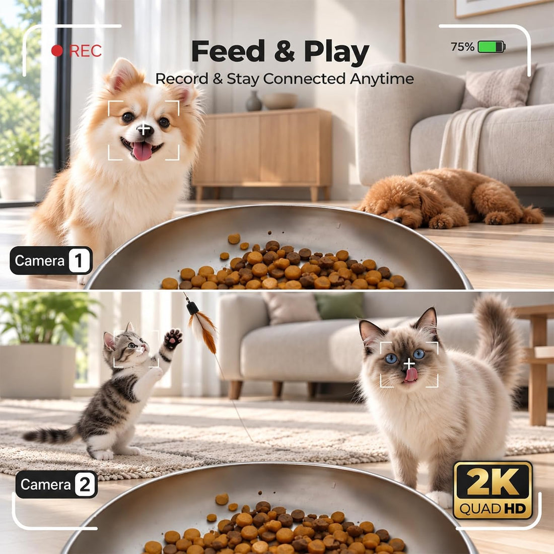 Automatic Cat Feeder with 2K Camera: 5G WiFi Auto Dog Feeder - 6L