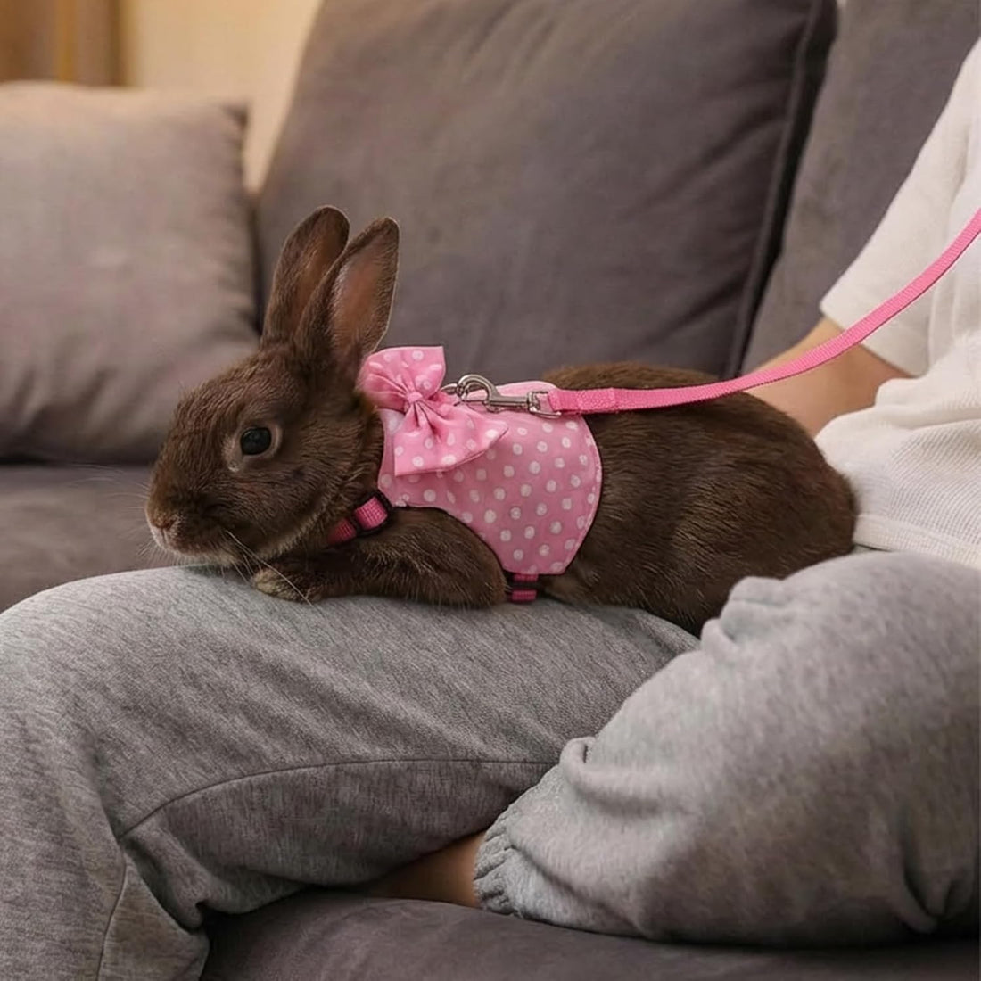 Bunny Clothes for Rabbits, Pink Polka Dot Rabbit Harness and Leash Set