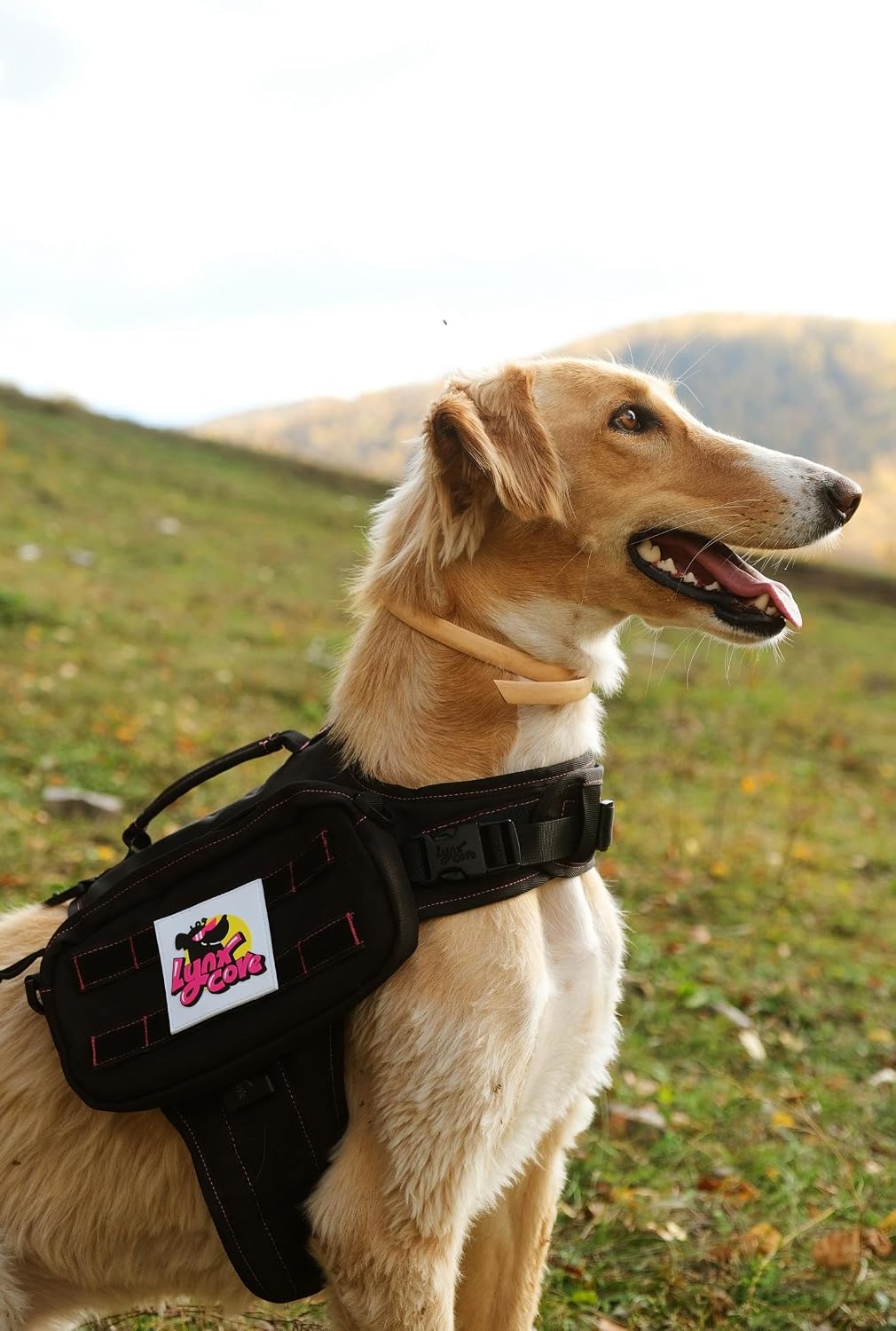 Dog Backpack for Small Medium Large Dogs,Adjustable Dog Backpack