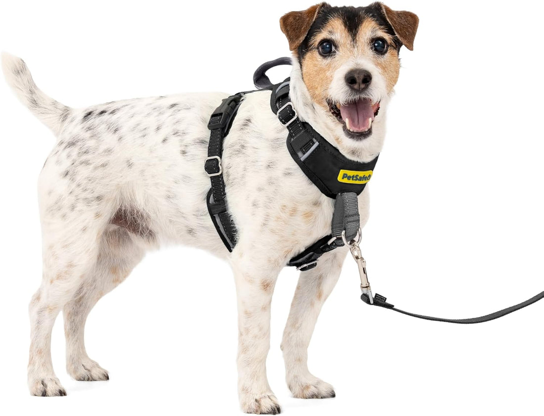 PetSafe Easy Walk Comfort No Pull Dog Harness
