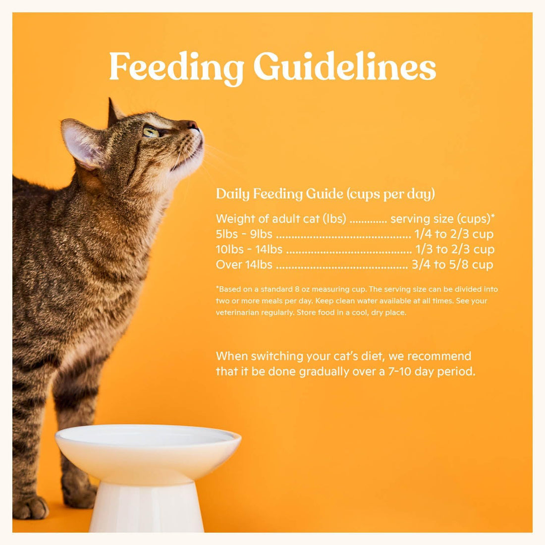 Made by Nacho Dry Cat Kibble 2lb Bag